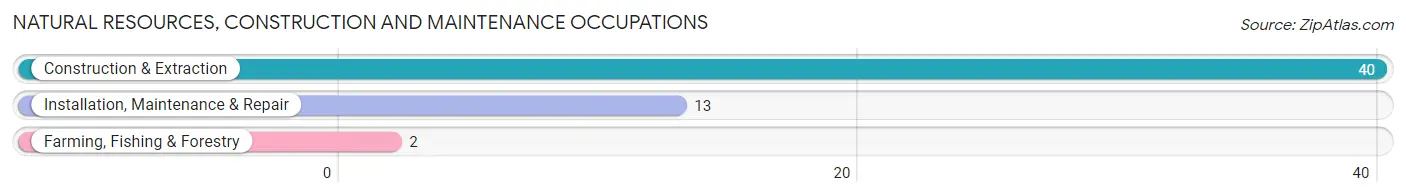 Natural Resources, Construction and Maintenance Occupations in Nassau