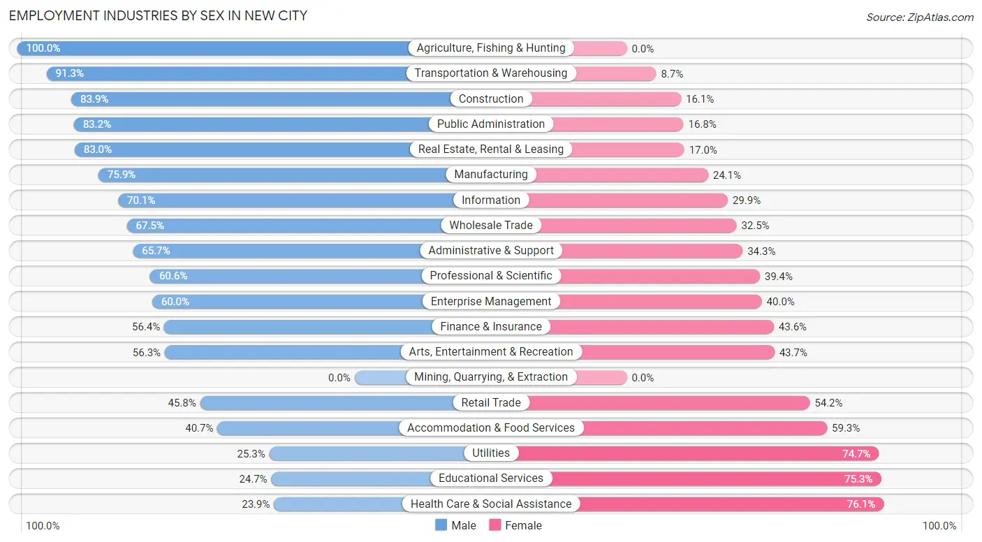 Employment Industries by Sex in New City