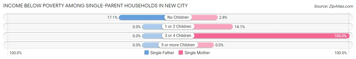 Income Below Poverty Among Single-Parent Households in New City