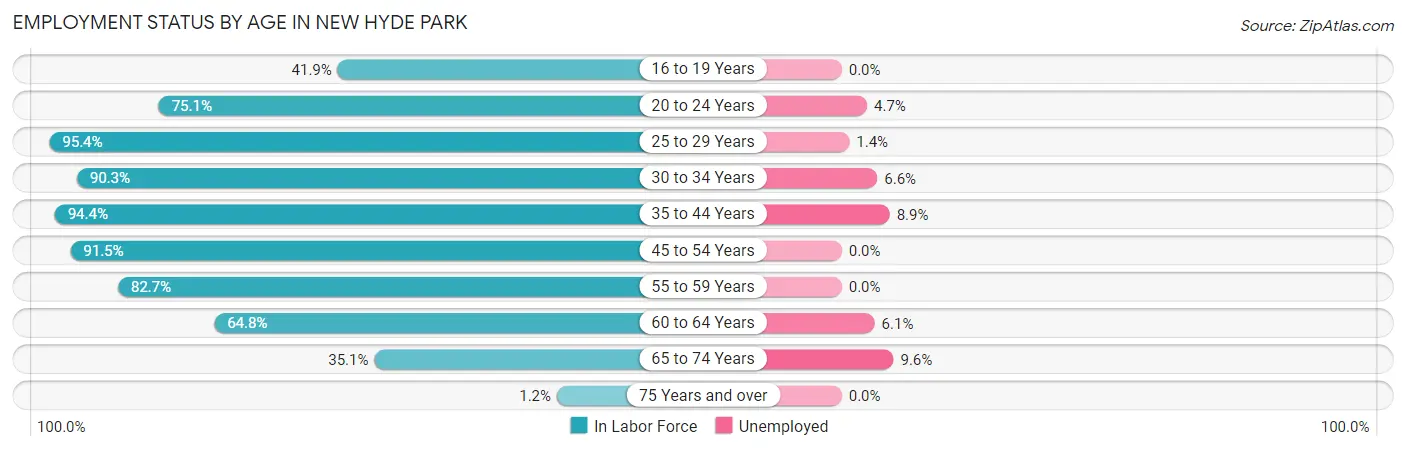 Employment Status by Age in New Hyde Park