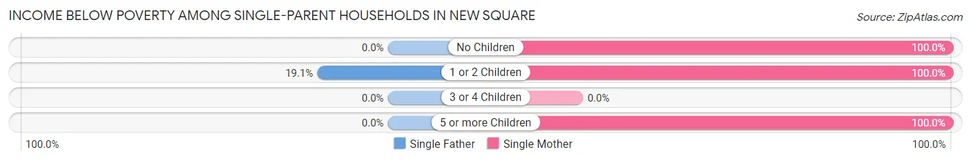 Income Below Poverty Among Single-Parent Households in New Square