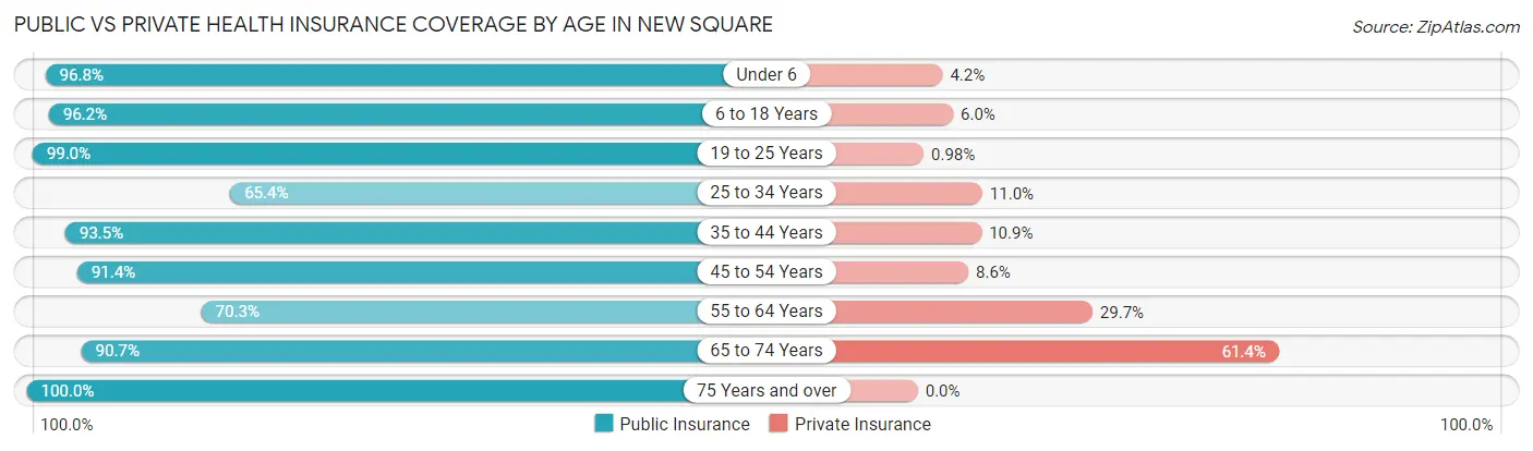 Public vs Private Health Insurance Coverage by Age in New Square