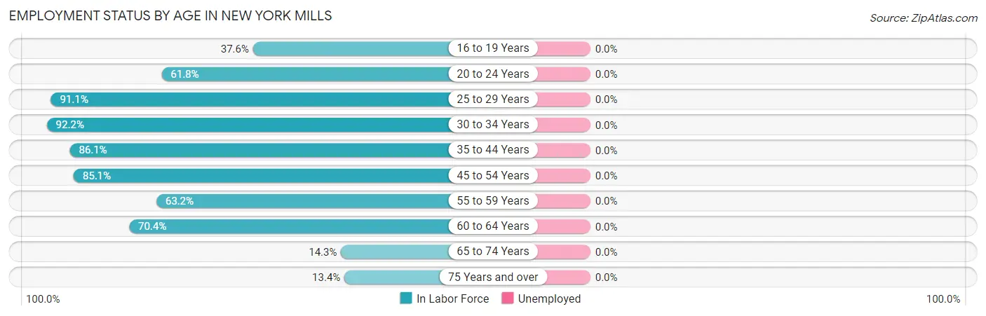 Employment Status by Age in New York Mills