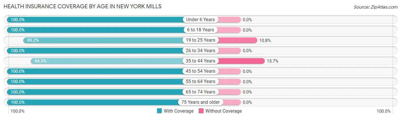 Health Insurance Coverage by Age in New York Mills