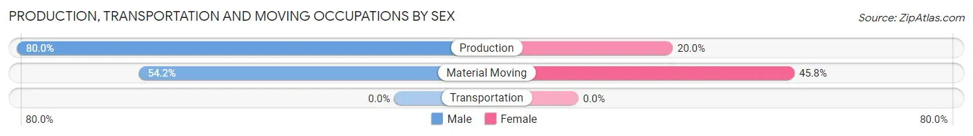 Production, Transportation and Moving Occupations by Sex in New York Mills