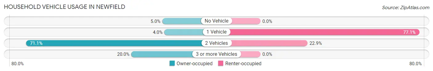 Household Vehicle Usage in Newfield