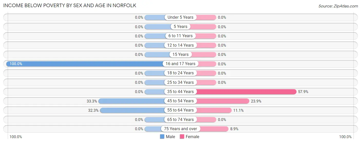 Income Below Poverty by Sex and Age in Norfolk