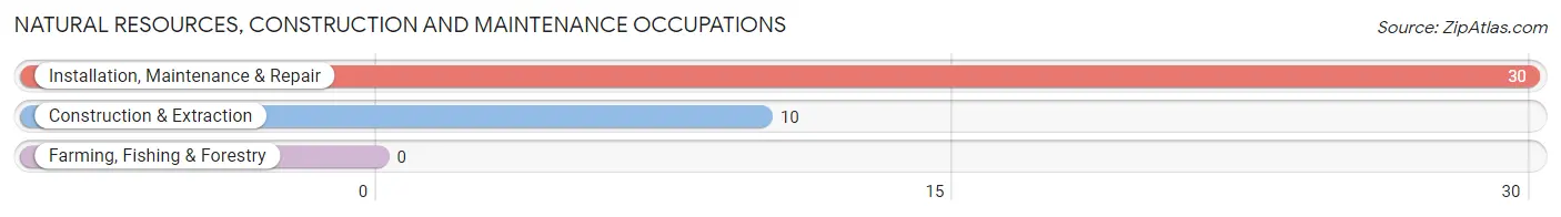 Natural Resources, Construction and Maintenance Occupations in North Collins