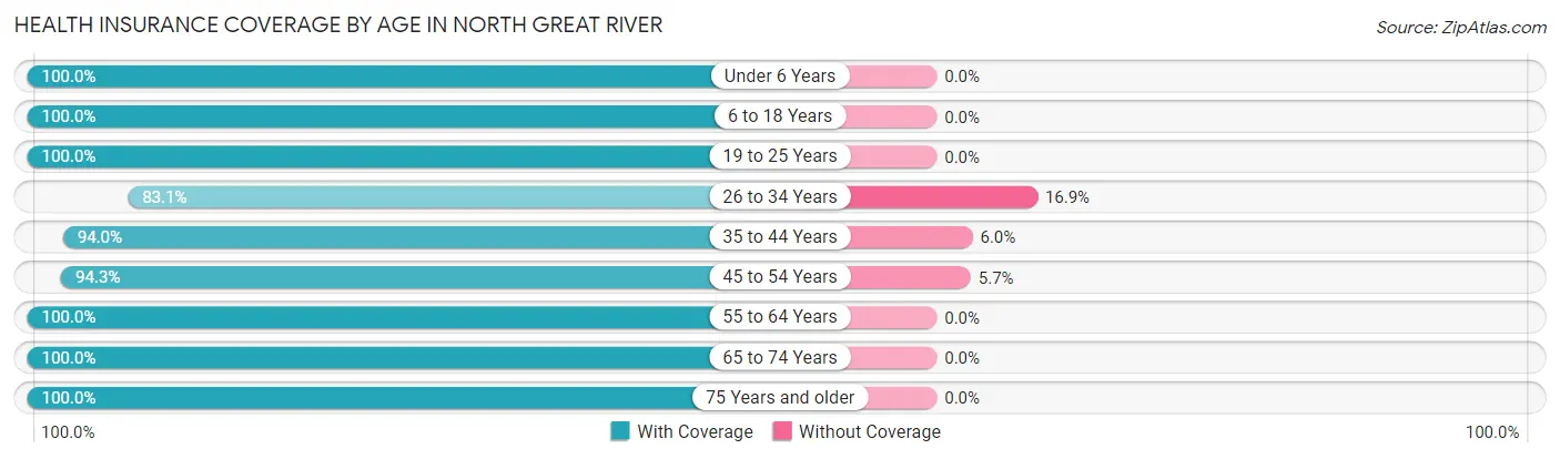 Health Insurance Coverage by Age in North Great River
