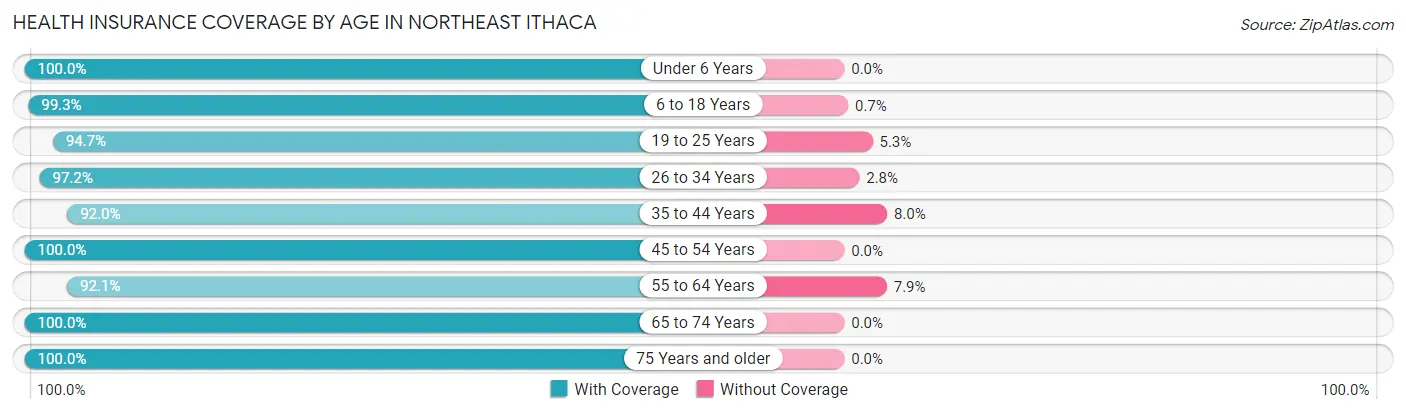 Health Insurance Coverage by Age in Northeast Ithaca