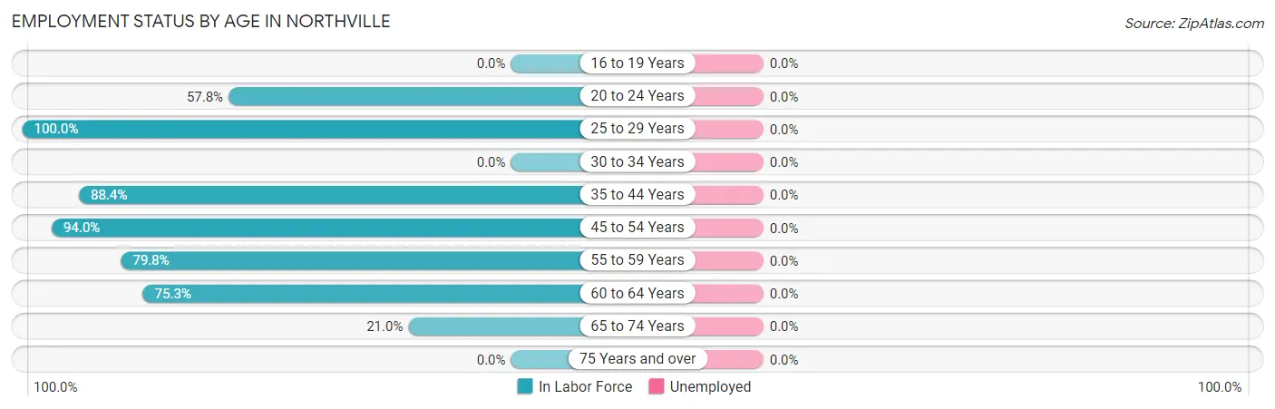 Employment Status by Age in Northville