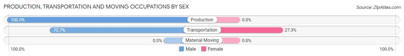 Production, Transportation and Moving Occupations by Sex in Noyack