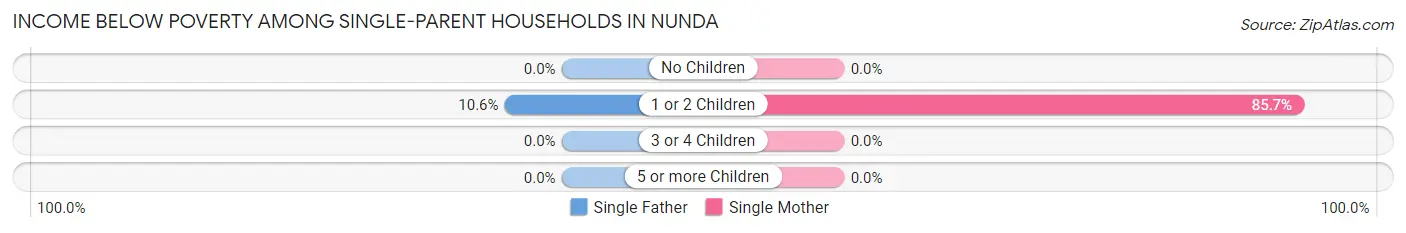 Income Below Poverty Among Single-Parent Households in Nunda