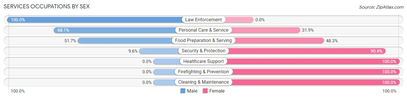 Services Occupations by Sex in Nyack