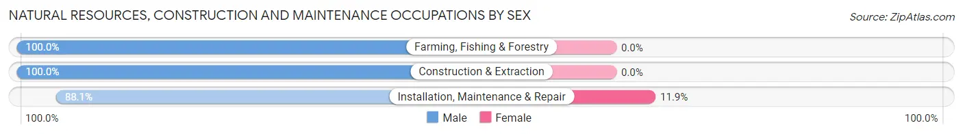 Natural Resources, Construction and Maintenance Occupations by Sex in Oakdale