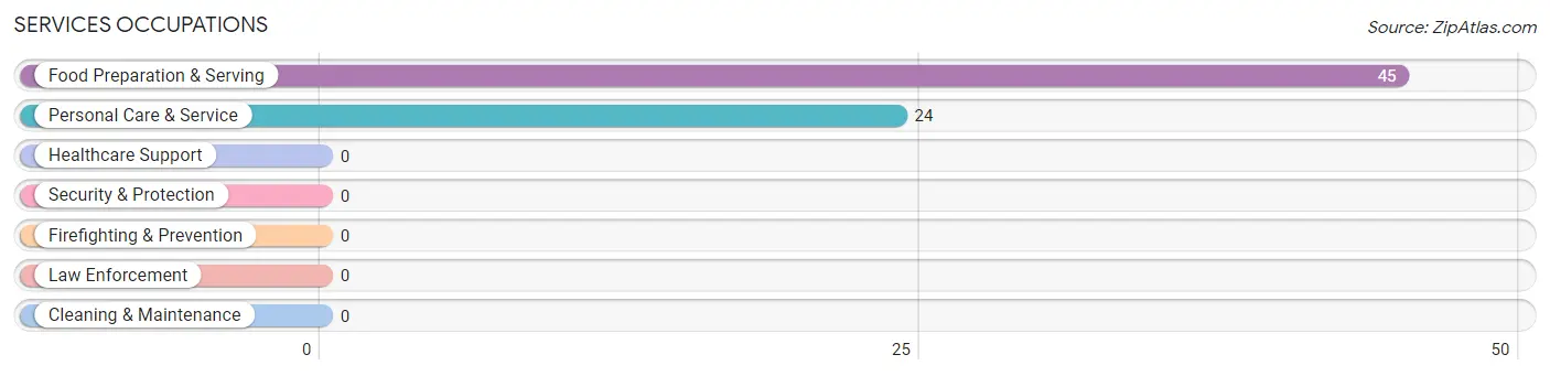 Services Occupations in Olcott