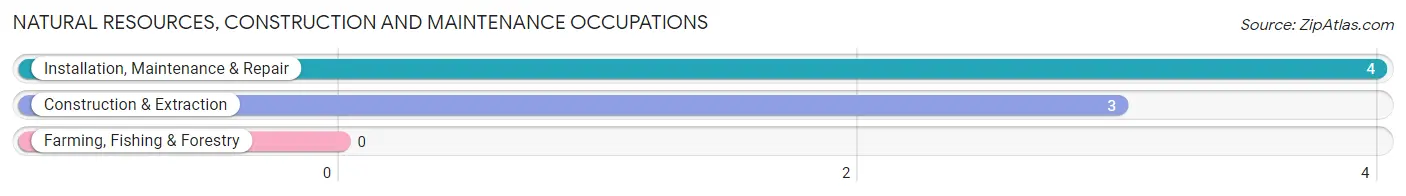 Natural Resources, Construction and Maintenance Occupations in Old Brookville