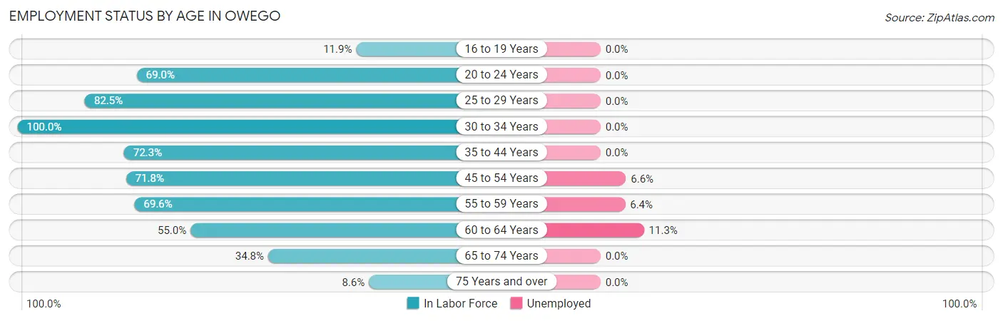 Employment Status by Age in Owego