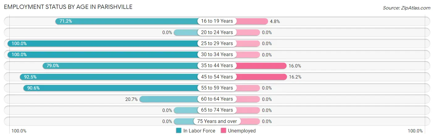 Employment Status by Age in Parishville