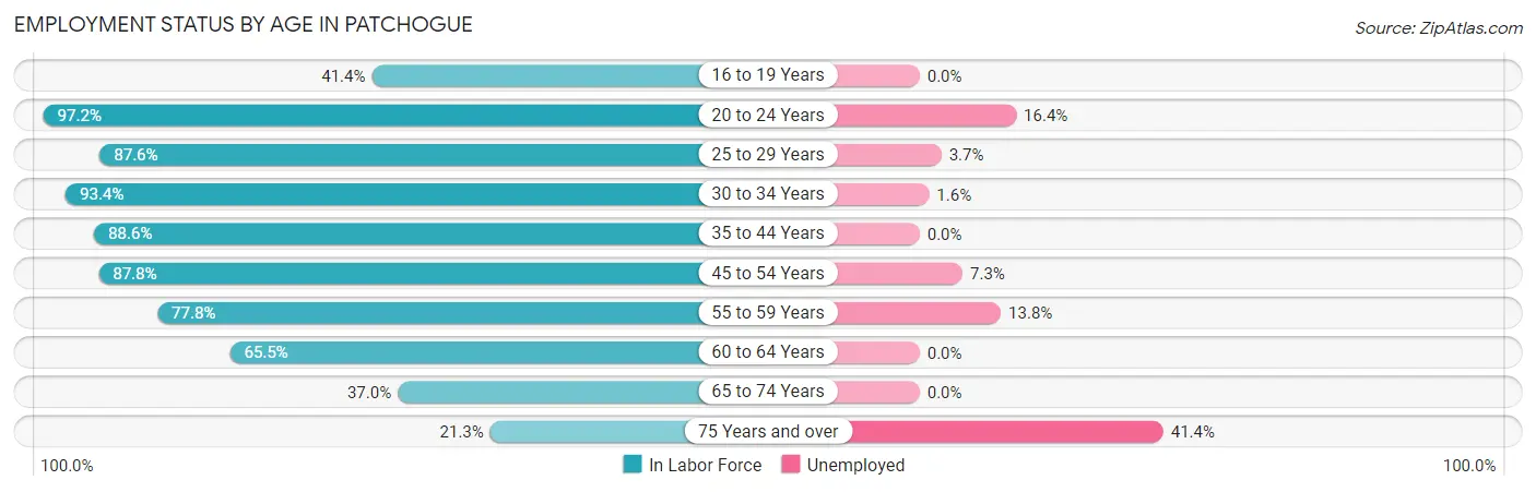 Employment Status by Age in Patchogue