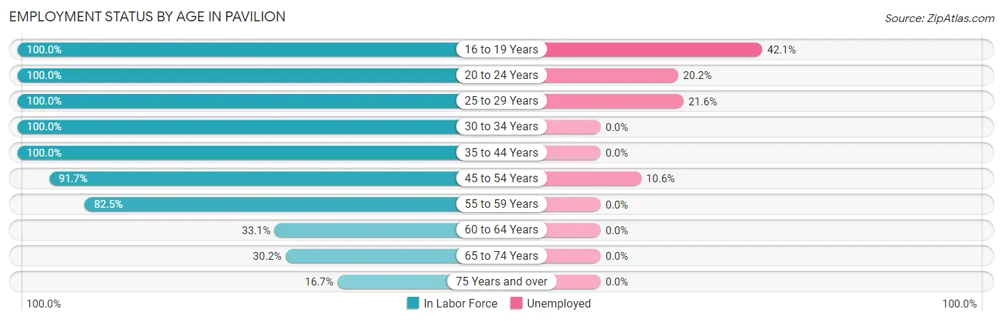 Employment Status by Age in Pavilion