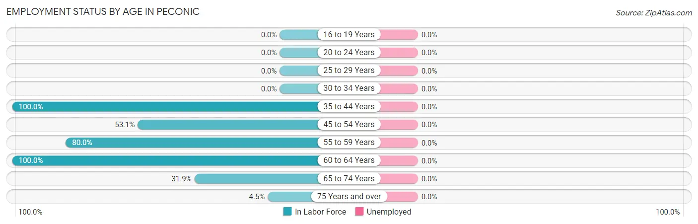 Employment Status by Age in Peconic