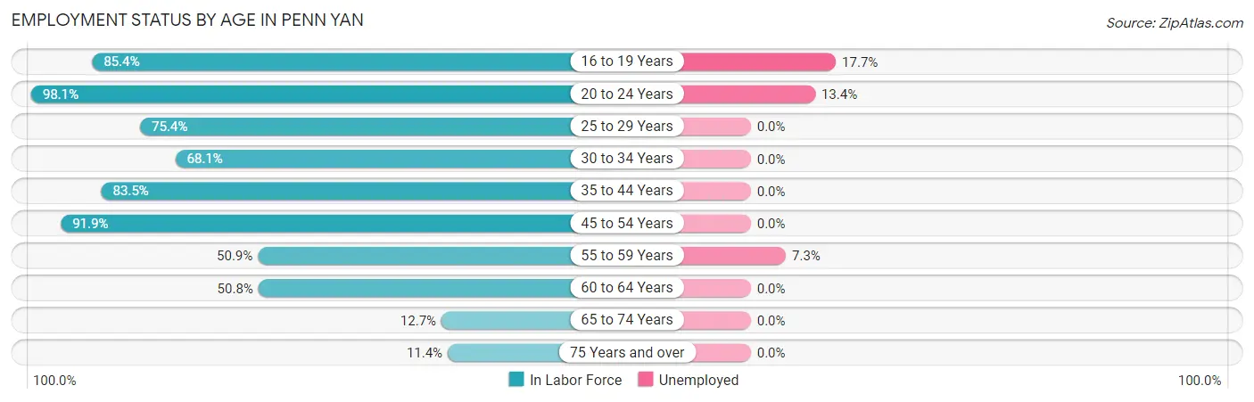 Employment Status by Age in Penn Yan