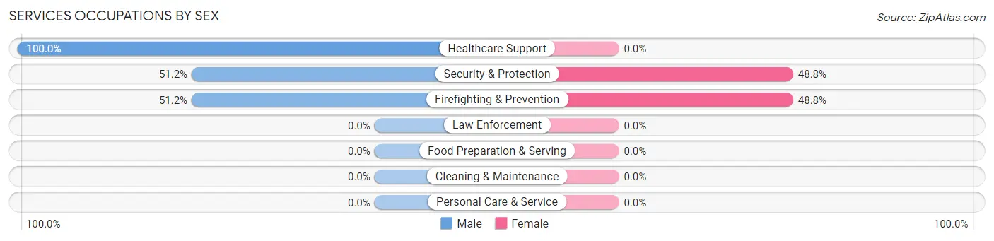 Services Occupations by Sex in Peru