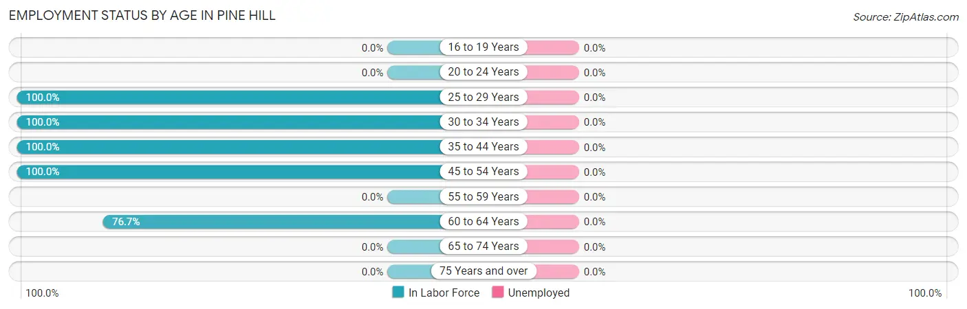 Employment Status by Age in Pine Hill