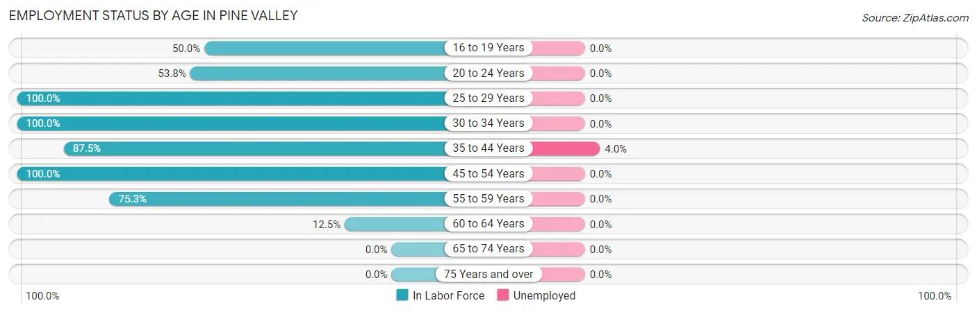 Employment Status by Age in Pine Valley