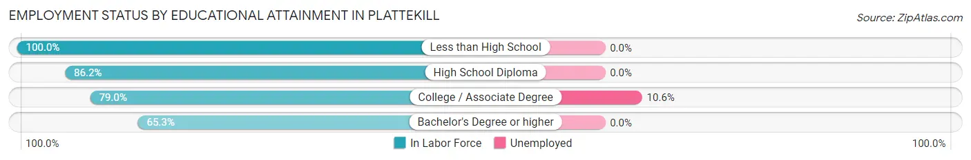 Employment Status by Educational Attainment in Plattekill