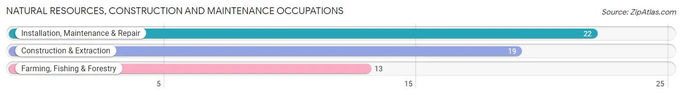 Natural Resources, Construction and Maintenance Occupations in Port Byron