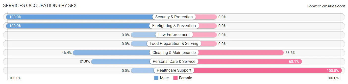 Services Occupations by Sex in Port Ewen