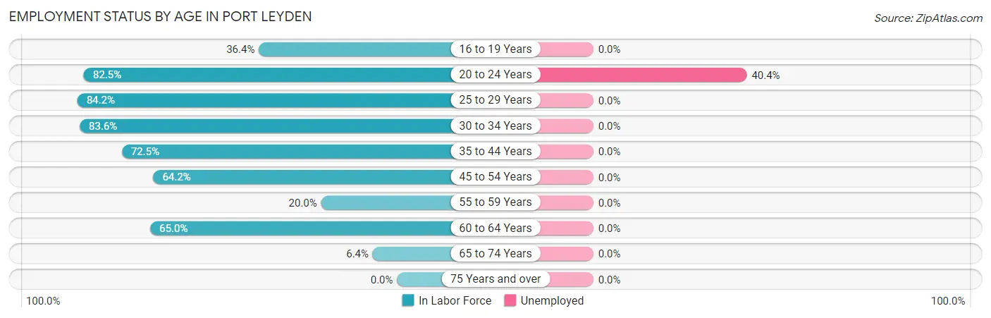 Employment Status by Age in Port Leyden