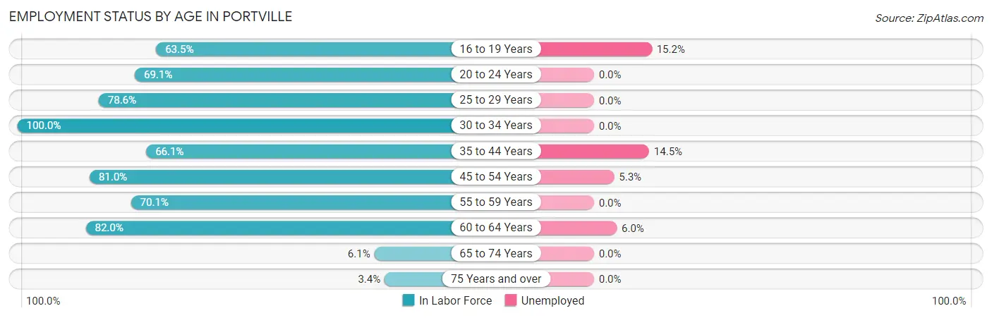 Employment Status by Age in Portville
