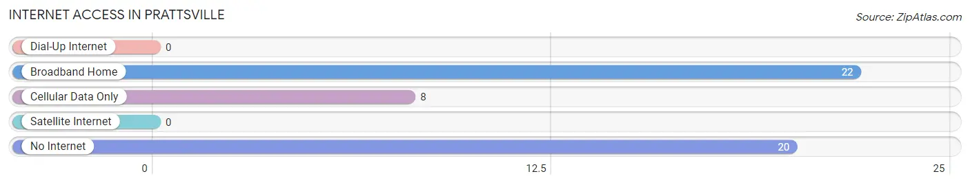 Internet Access in Prattsville