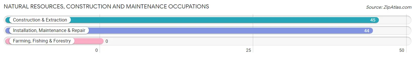 Natural Resources, Construction and Maintenance Occupations in Quiogue