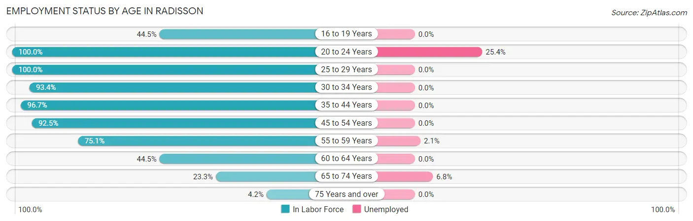 Employment Status by Age in Radisson