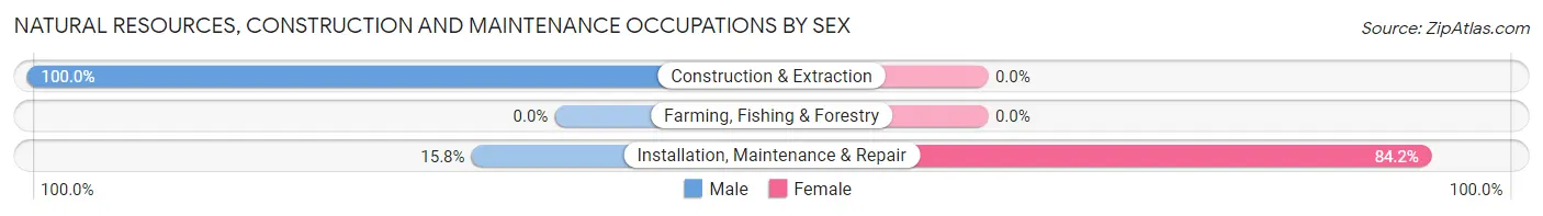 Natural Resources, Construction and Maintenance Occupations by Sex in Red Creek