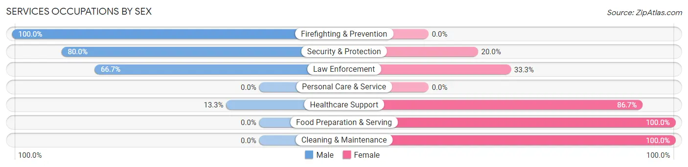 Services Occupations by Sex in Rensselaer Falls
