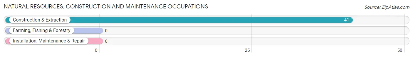 Natural Resources, Construction and Maintenance Occupations in Richmondville