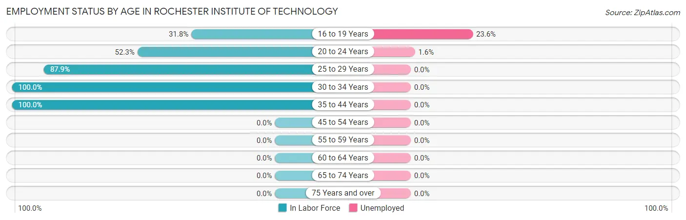 Employment Status by Age in Rochester Institute of Technology