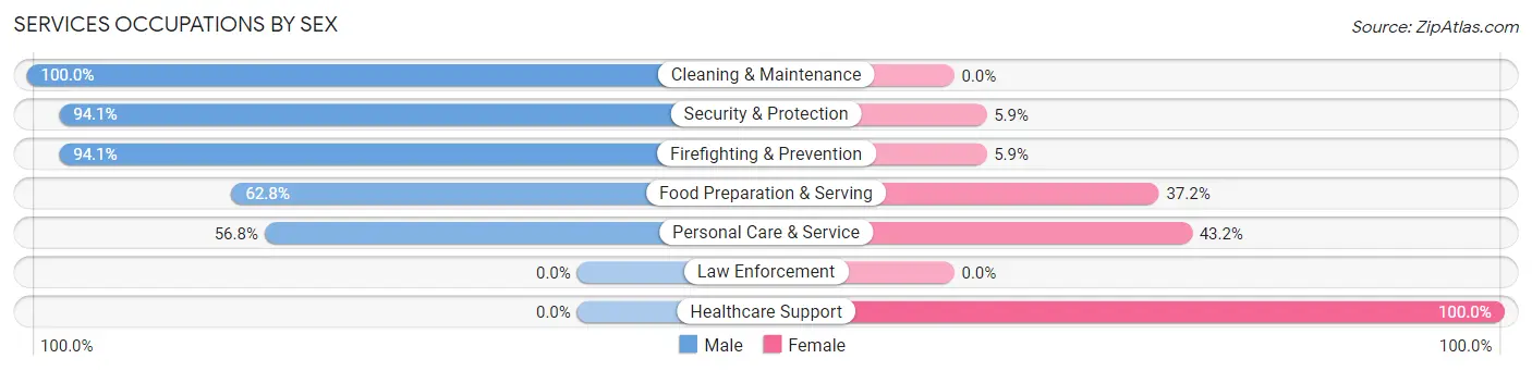 Services Occupations by Sex in Rochester Institute of Technology