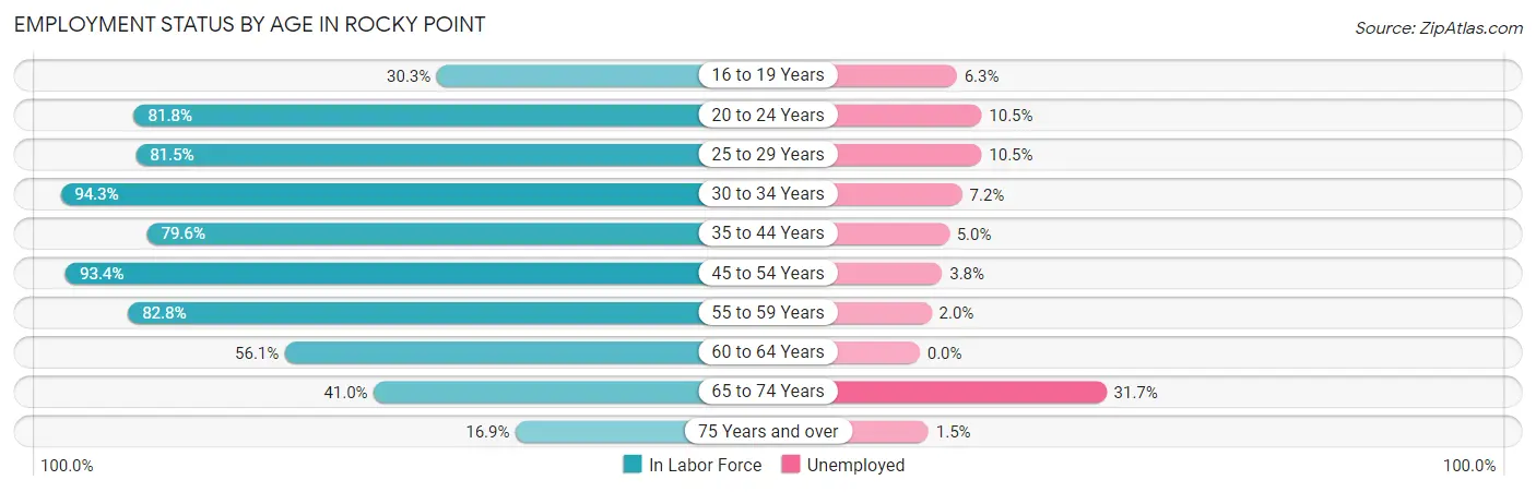 Employment Status by Age in Rocky Point