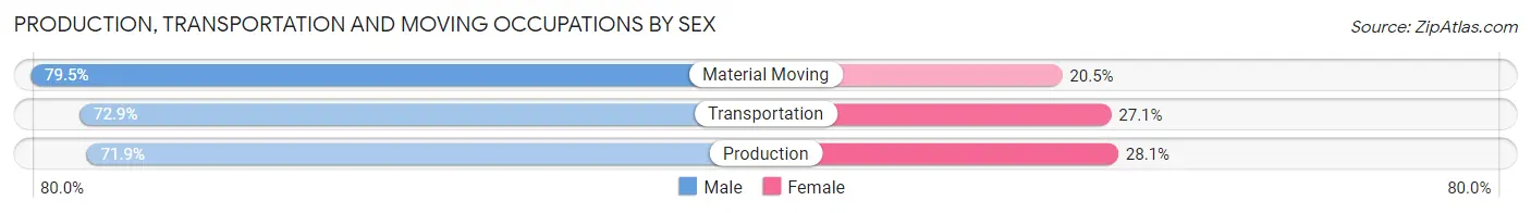 Production, Transportation and Moving Occupations by Sex in Roessleville