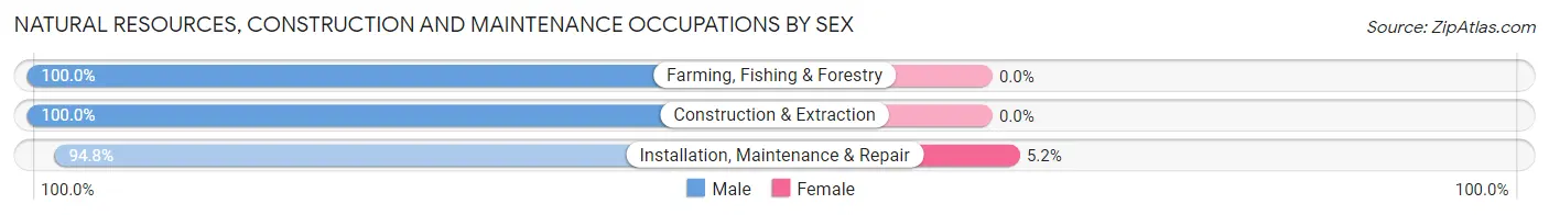 Natural Resources, Construction and Maintenance Occupations by Sex in Roosevelt