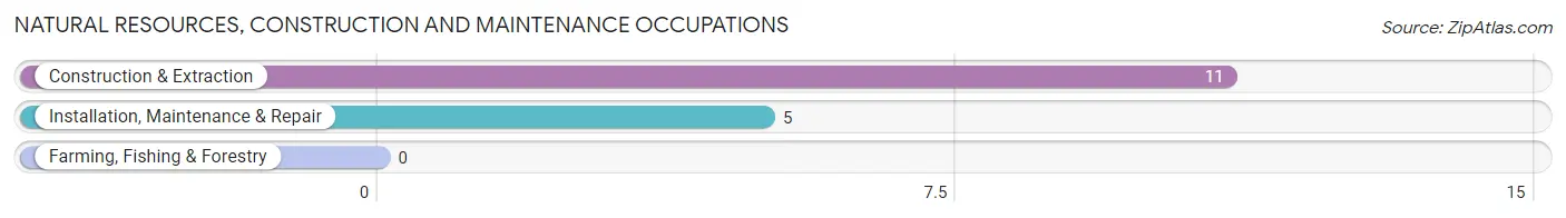 Natural Resources, Construction and Maintenance Occupations in Roscoe