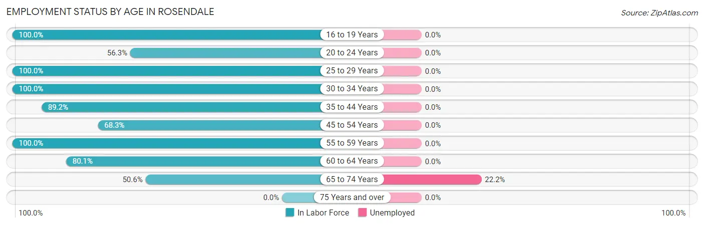Employment Status by Age in Rosendale