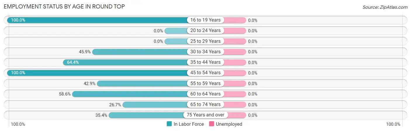 Employment Status by Age in Round Top
