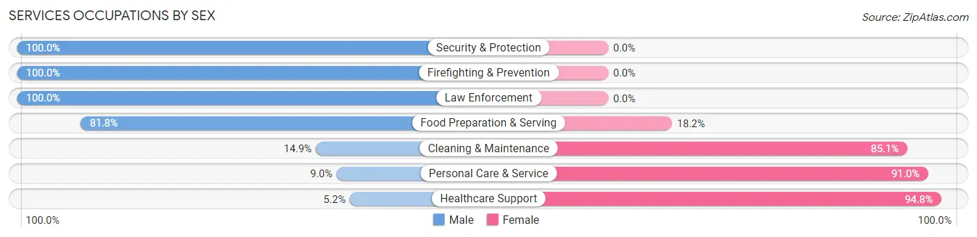 Services Occupations by Sex in Rye Brook